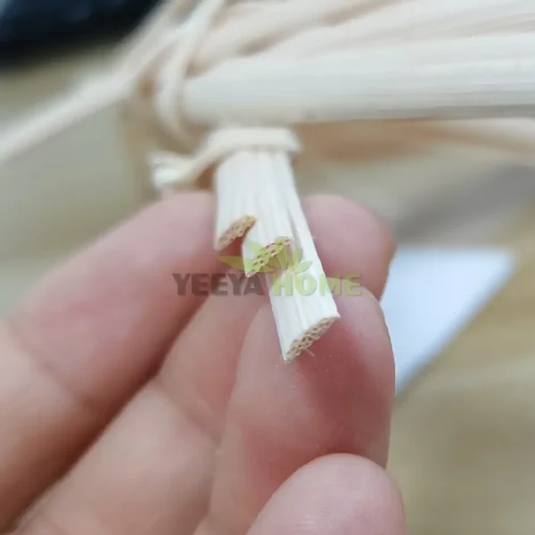 Natural Flat-Oval Rattan Core Spline Roll